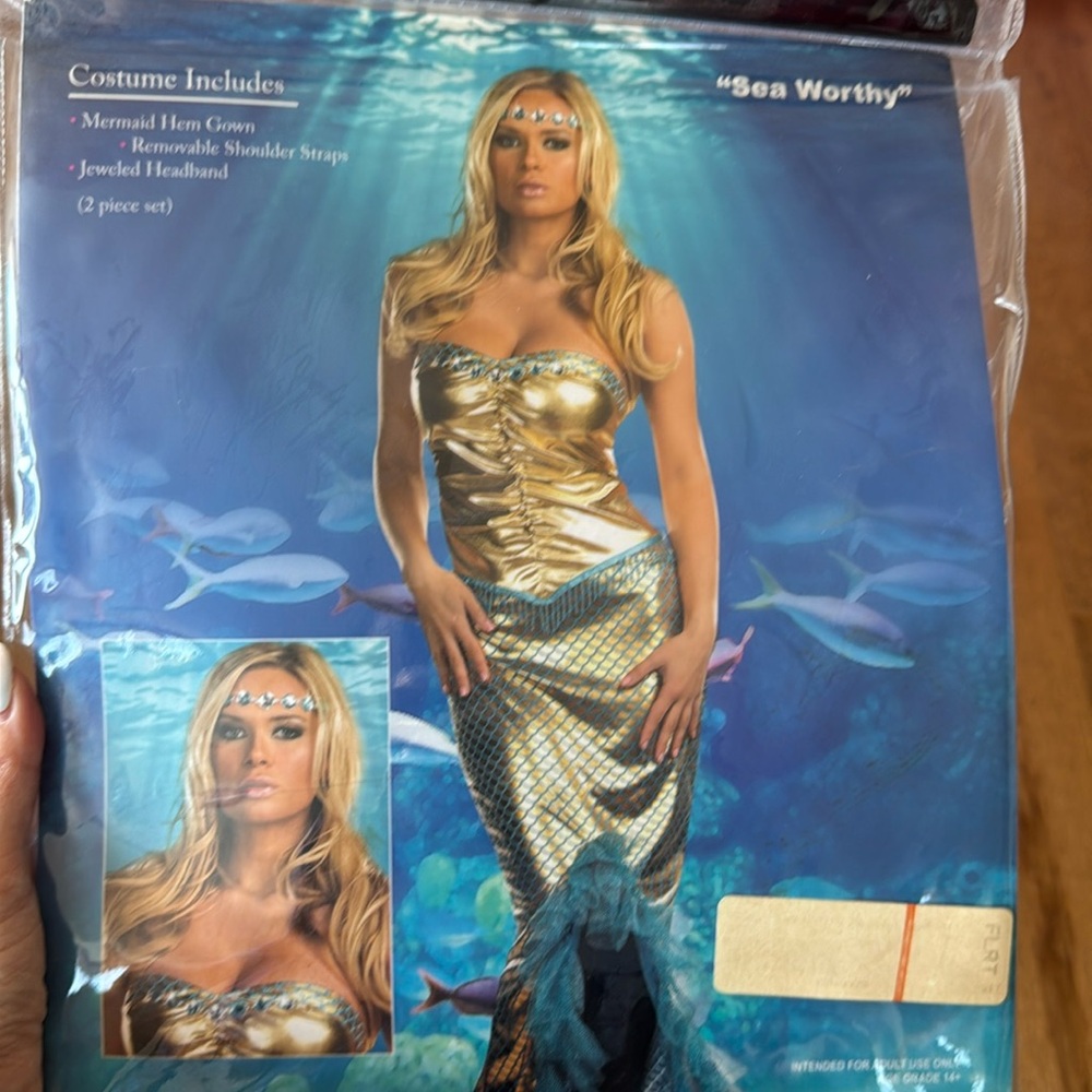 Halloween costumes “Sea worthy”